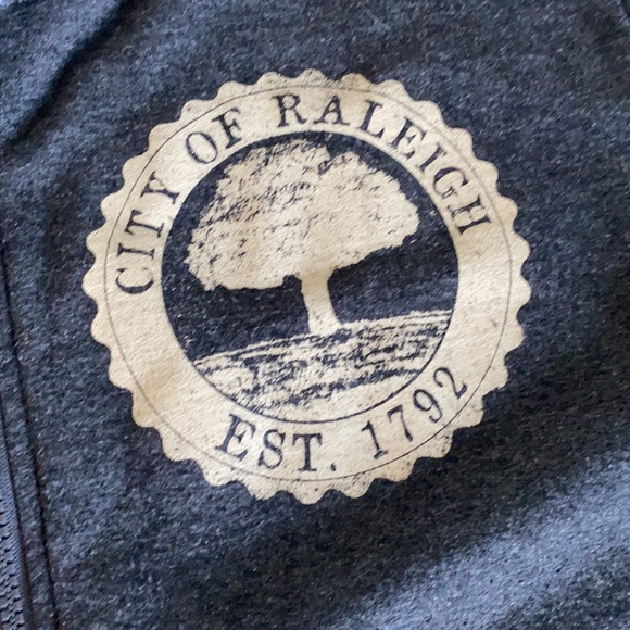 Gray Raleigh Zipper Hoodie - Picture 2 of 6